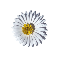 3D paper flower SVG, 3D daisy paper flower, spring flower SVG, dimensional flower digital file