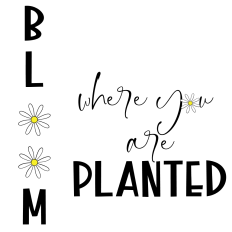 Bloom Where You Are Planted – Encouraging Daisy SVG | Faith & Growth Design
