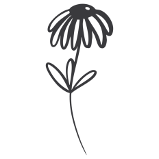 Daisy Flower