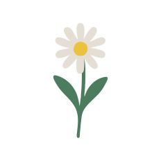 The Floral Collection - Daisy