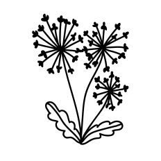 Whimsical Dandelion SVG – Hand-drawn Wildflower Cut File for Silhouette Craft Projects
