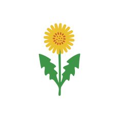 The Floral Collection - Dandelion