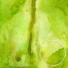 Green Grunge Watercolor Background Pattern