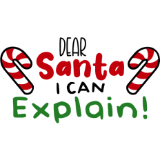 dear santa i can explain!