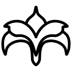 Flower Motif