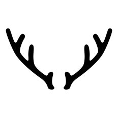 Deer Antlers