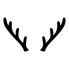 Deer Antlers