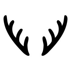 Deer Antlers