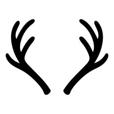 Deer Antlers