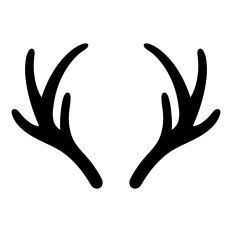 Deer Antlers