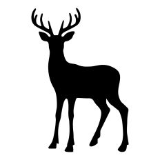 Christmas Deer