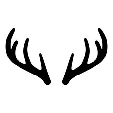 Deer Antlers