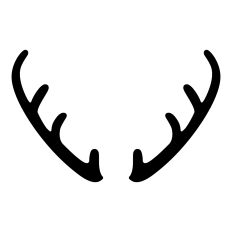 Deer Antlers