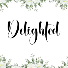 Delighted Font