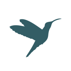 Hummingbird silhouette