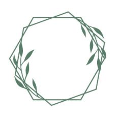 Geometric Frame