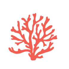 Coral silhouette