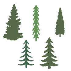 Tree Silhouette
