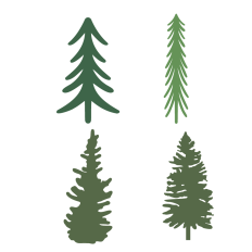 Tree Silhouette