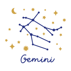 Gemini Constellation