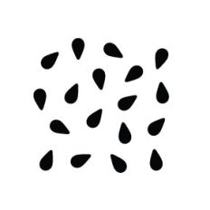 Seed Cluster