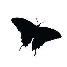 Butterfly silhouette