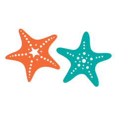 Starfish silhouette