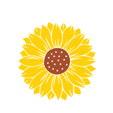 Sunflower drawing