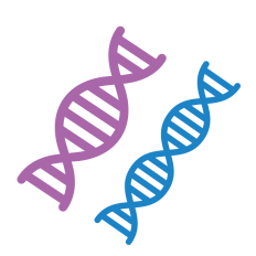 DNA Chains