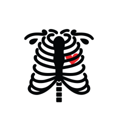 Skeleton Silhouette