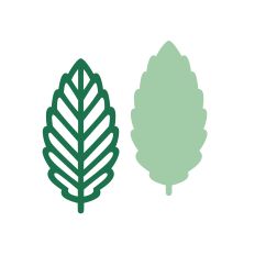 Simple flower leaf