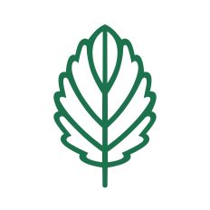 Simple flower leaf