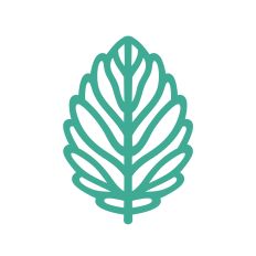 Beautiful leaf