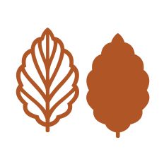 Beautiful simple leaf
