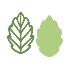 Beautiful simple leaf
