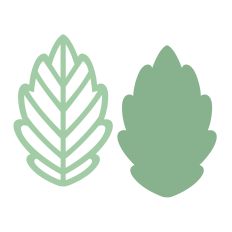 Simple leaves