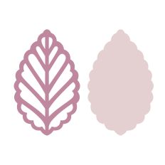 Beautiful elegant leaf