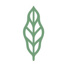Cute simple leaf for flowers
