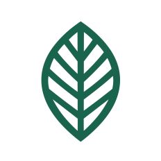 Simple cute leaf