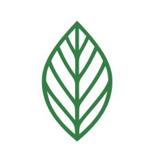 Elegant simple leaf
