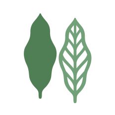 Simple wavy Leaf