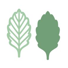 Simple Leaves