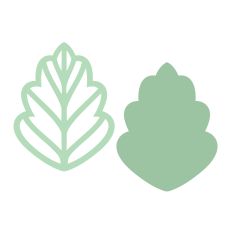 Elegant simple leaf