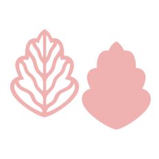 Beautiful simple leaf