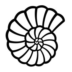 Seashell