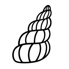 Simple Seashell