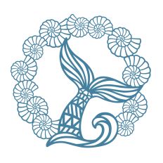 Mermaid tail and seashells