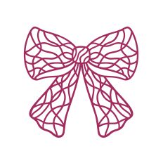 Beautiful bow