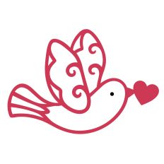 Love bird
