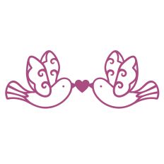 Couple of love dove birds